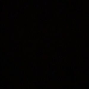 Meet your Posher, Lizet